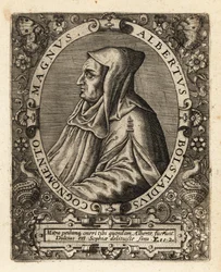 Albertus Magnus, German Catholic bishop