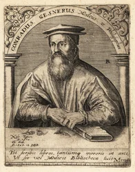 Conrad Gessner, Swiss Physician