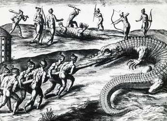 Crocodile Hunting in Florida, from painting by Jacques le Moyne de Morgues, by Theodor de Bry