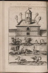 Illustration for Tripvs Avrevs, hoc est, Tres tractatvs chymici selectissimi