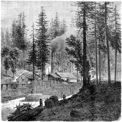 Sawmill, California