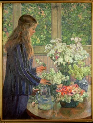 Garden Flowers