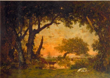 Exit of the Forest in Fontainebleau, Sunset