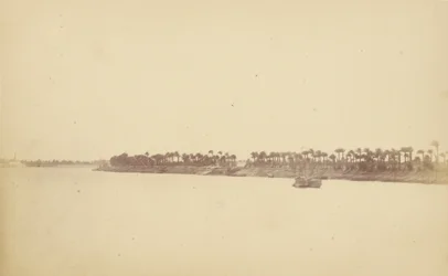 Banks of the Nile with Palm Trees and Boats