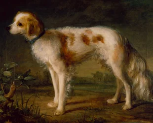 A Spaniel in a Landscape