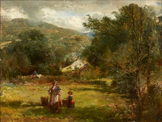 Working in the Field
