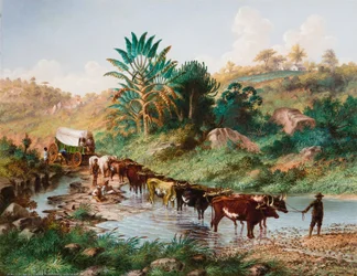 Wagon Crossing a Drift - Natal