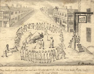 Bear baiting, Manchester, 1819