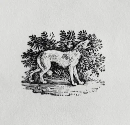 A Hound from 