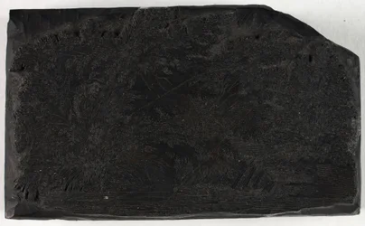 Woodblock for Man Fishing Under a Tree with Waterfall