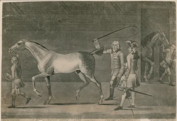 A Horse Courser Selling a Nag - Caveat Emptor
