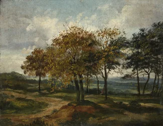 Wooded Landscape