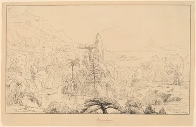 Narcissus (recto)
