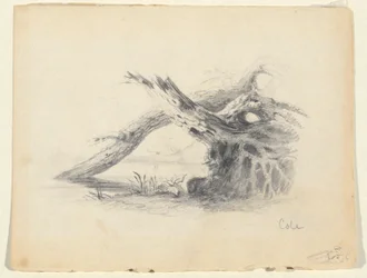 Sketch of Two Dead Trees