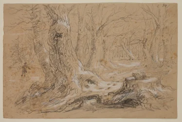 Trees in Winter with Man Standing on Frozen Creek