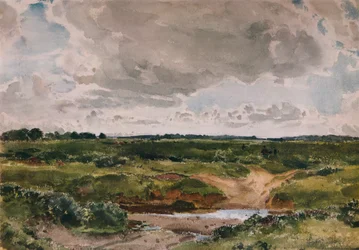 A Common in August