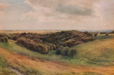 Arundel Park