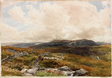 Moorland Scene