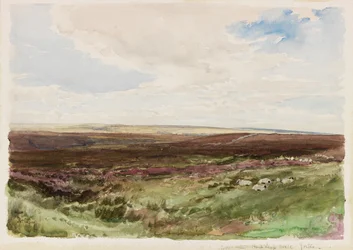 Moorland near Hart Leap Well, Yorkshire