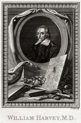 William Harvey