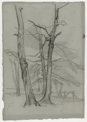 Landscape Study with Trees