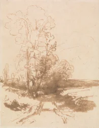 In Country Lane