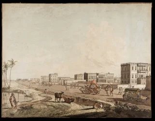 The New Buildings at Chouringhee from Views of Calcutta