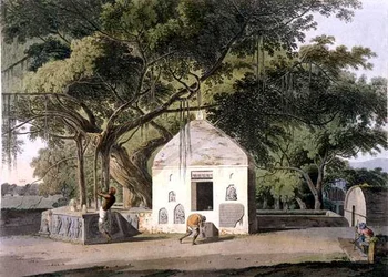 The Sacred Tree of the Hindoos, at Gyah, Bahar, from 