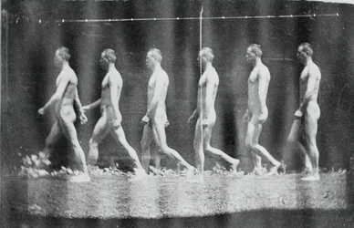 Marey Wheel Photographs of Jesse Godley, 1884