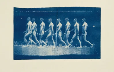 Marey Wheel Photographs of Jesse Godley