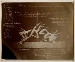 Marey Wheel Photographs of Unidentified Model, with Eadweard Muybridge Notations