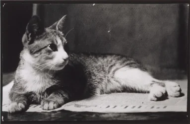 Mrs. Thomas Eakins