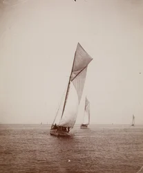 Sailboats