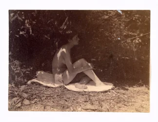 Susan Hannah Macdowell, c. 1880-1882