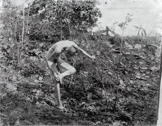 Thorn Puller, c. 1883