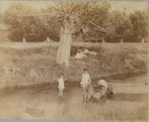 Three Children and a Dog Playing in the Creek, July 4, 1883