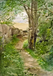 Woodland Path