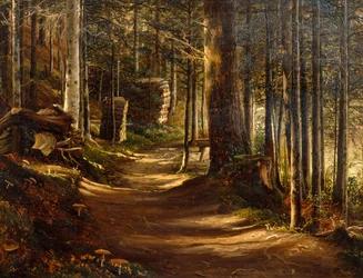 Road in Coniferous Forest