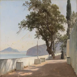 Terrace with Oak, Sorrento