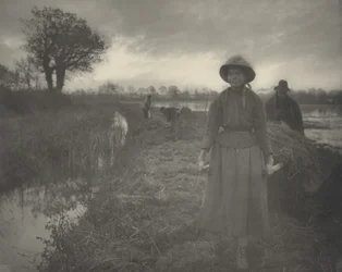 Poling the Marsh Hay, 1886