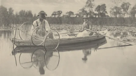 Setting the Bow-Net, 1886