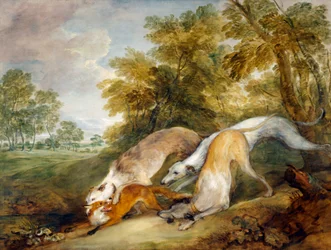 Greyhounds Coursing a Fox
