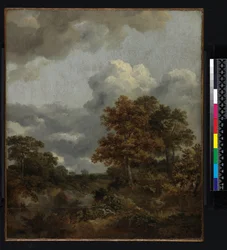 Landscape with a pool