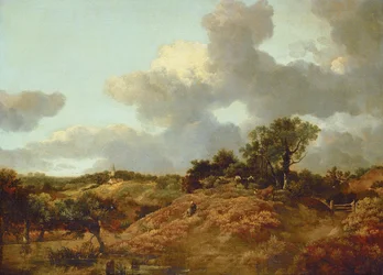 Unknown Image