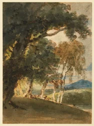 A River Valley and Distant Hill Seen through Trees