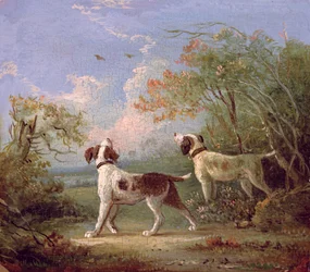 Spaniels in a Landscape
