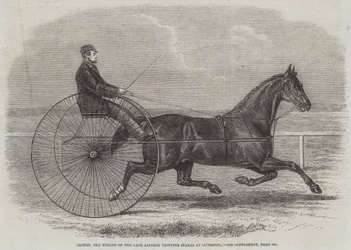 Jackey, the Winner of the late Aintree Trotting Stakes at Liverpool