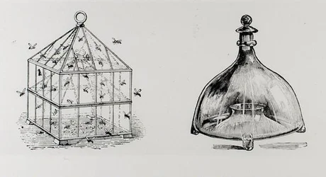 Wasp and Fly Traps, from Thomas Mawson