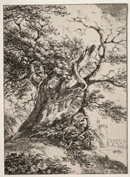 Specimens of Polyautography: Landscape with an Oak Tree