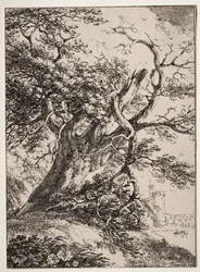 Specimens of Polyautography: Landscape with an Oak Tree, 1803